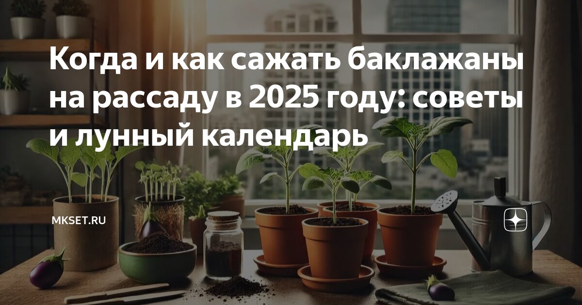 Баклажаны рассада лунный календарь