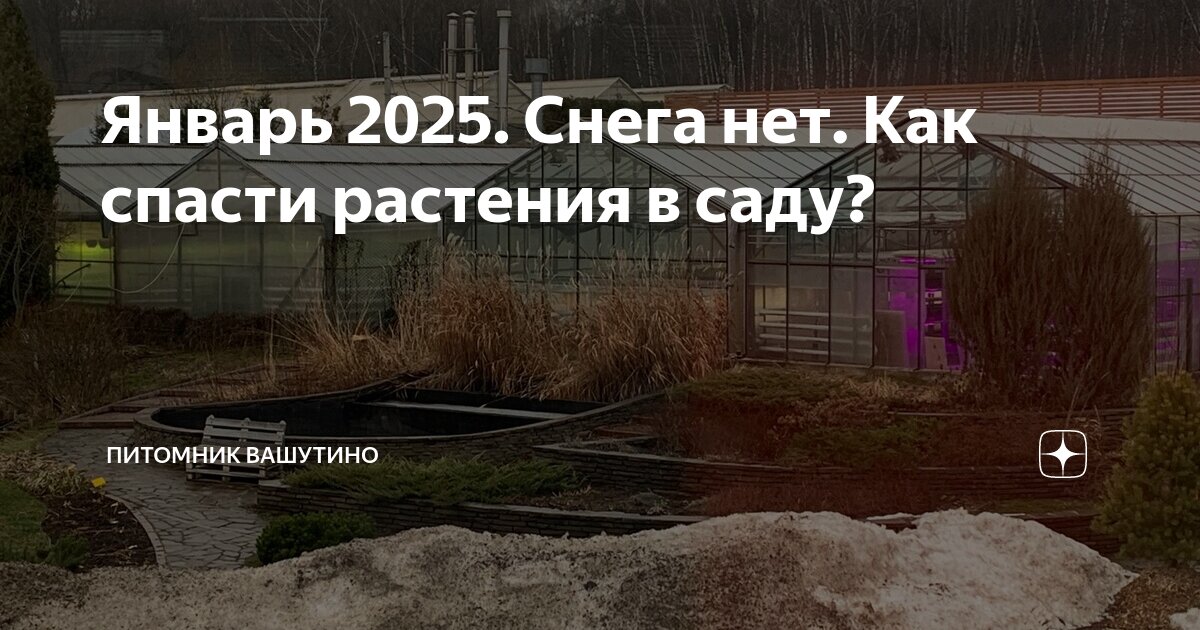 Функция усиков у растений. Функция усиков у растений
