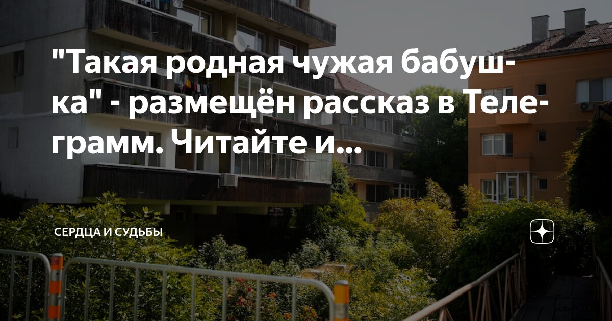 Свои чужие дети. Родной чужой. Сказки аму мом. Ло и его сакральные опилки дзен-сказки. Свой чужой ребенок рассказ на дзен читать.