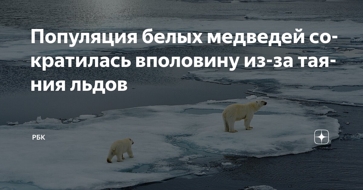 Уменьшение численности белых медведей