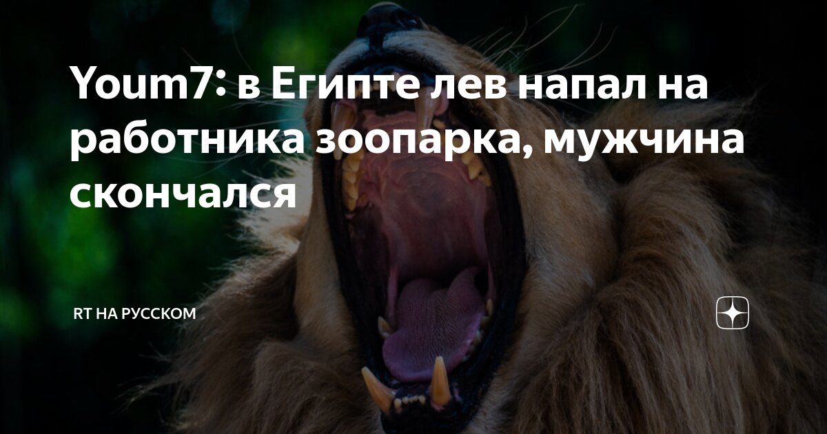 Львы загрызли в зоопарке узбека фото