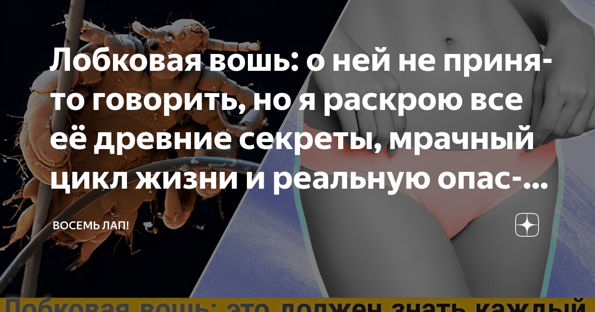 лобковая вошь как избавиться