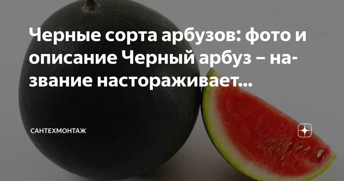 Томат Жонглер f1: характеристика и описание гибридного сорта с фото