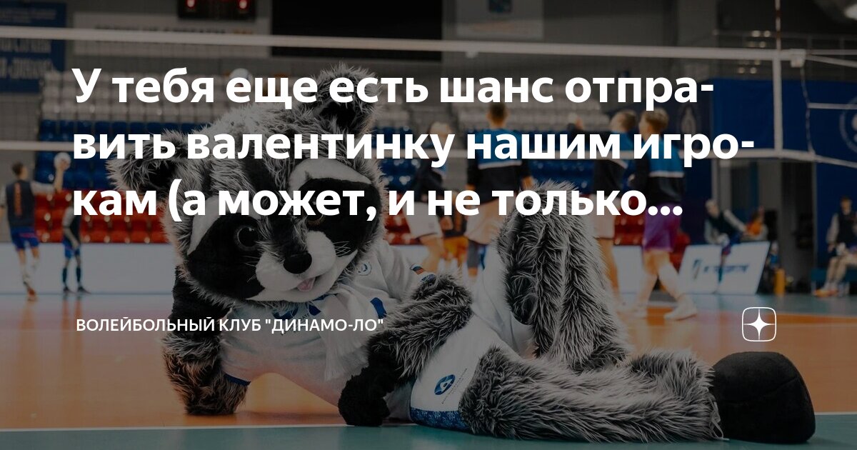 Таблица переходов волейбол 2025 2025 женщины Динамо" (Москва) "ВакыфБанк" (Стамбул, Турция). Фотогалерея Женский волейбол