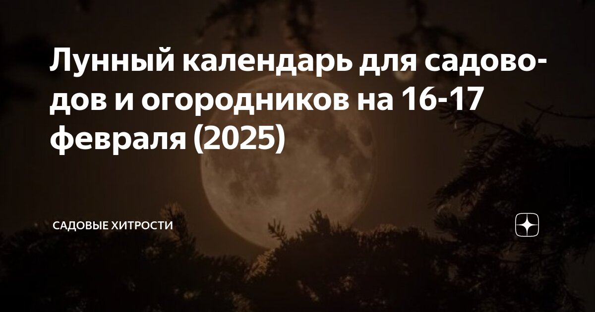 Астромеридиан лунный календарь на февраль 2025 года Лунный календарь для садоводов и огородников на 16-17 февраля (2025) САДОВЫЕ ХИТ