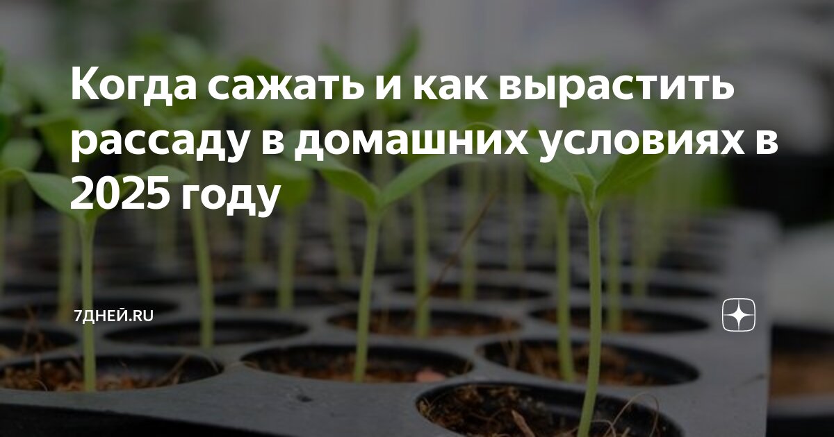 Когда сеять перец по лунному календарю