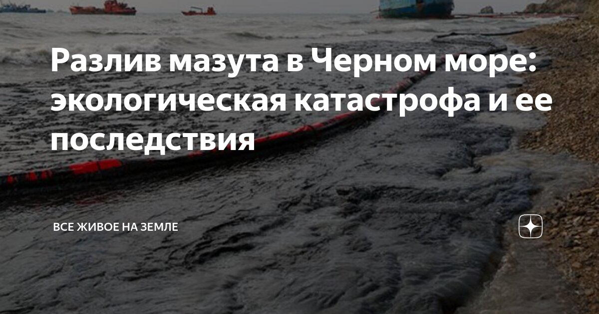 Фото черного моря после нефти Разлив мазута в Черном море: экологическая катастрофа и ее последствия Все живое