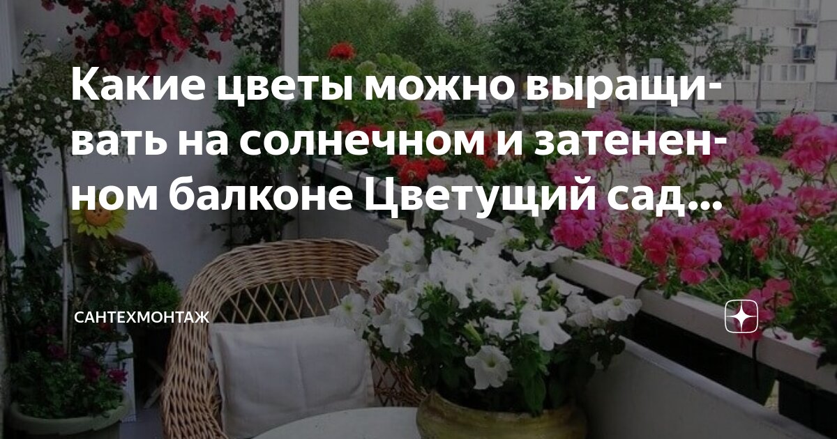 Какие цветы посадить на даче в апреле. Какие цветы посадить на даче в апреле