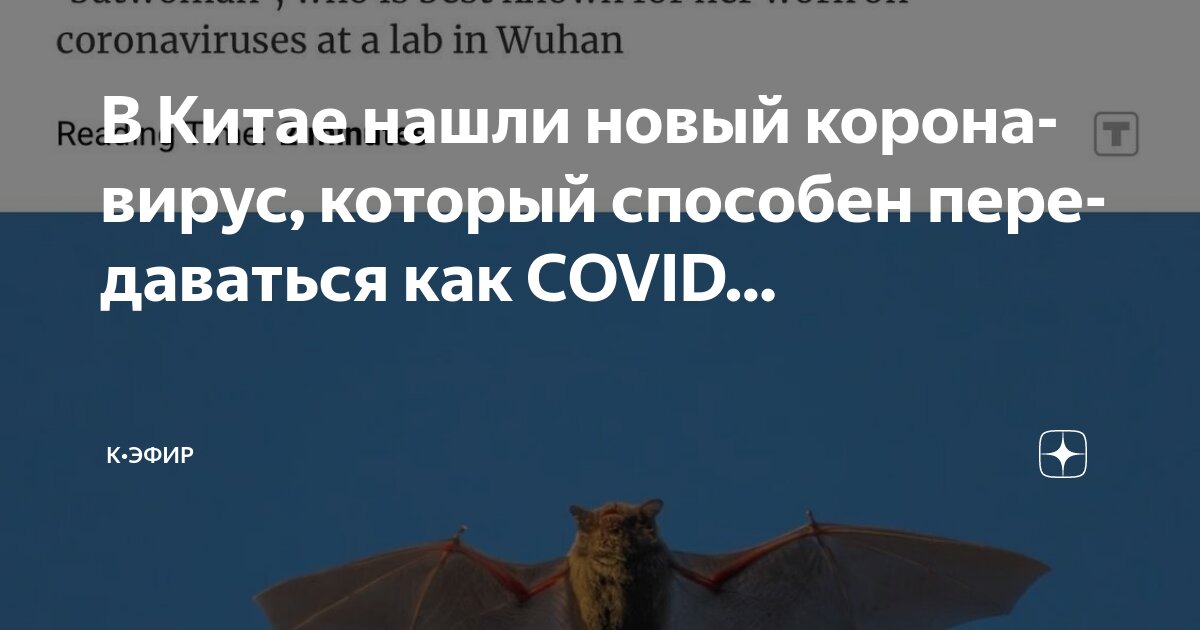 Как выглядит новый вирус в китае В Китае нашли новый коронавирус, который способен передаваться как COVID. К*Эфир