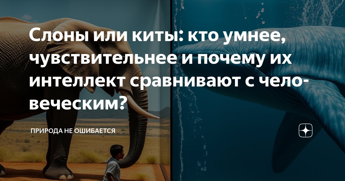 Кто сильнее кит или слон ответ. Кто сильнее слон или кит. Мегафауна мадагаскара. Слон и кит. Кто сильнее слон или кит.
