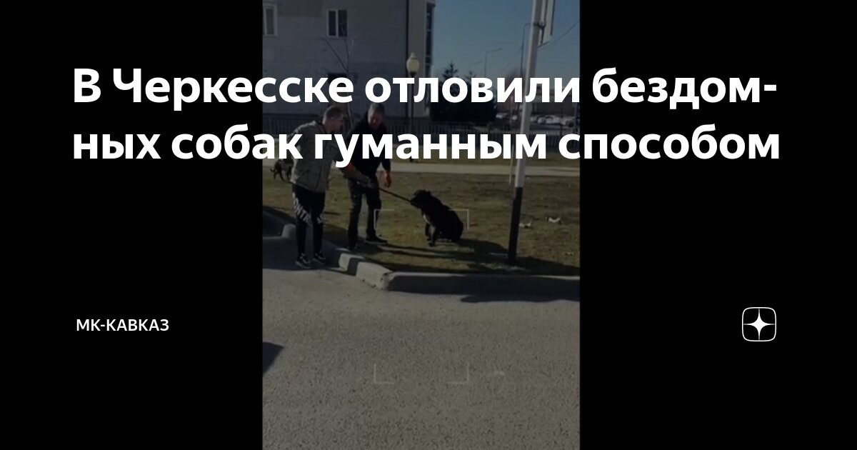 Как пройти через собаку. Как пройти через собаку