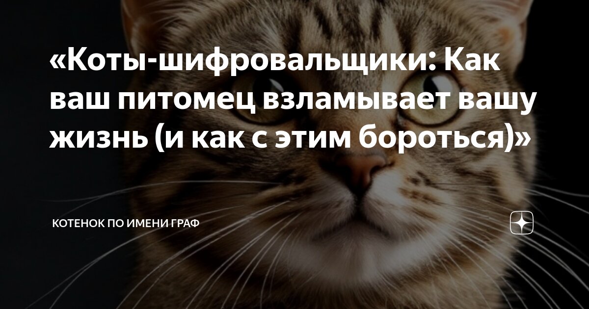 Взлома мой кот. Взлома мой кот