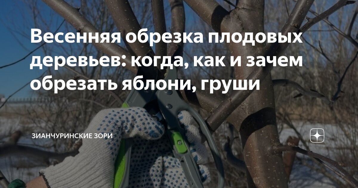 Почему мужчина обрезан