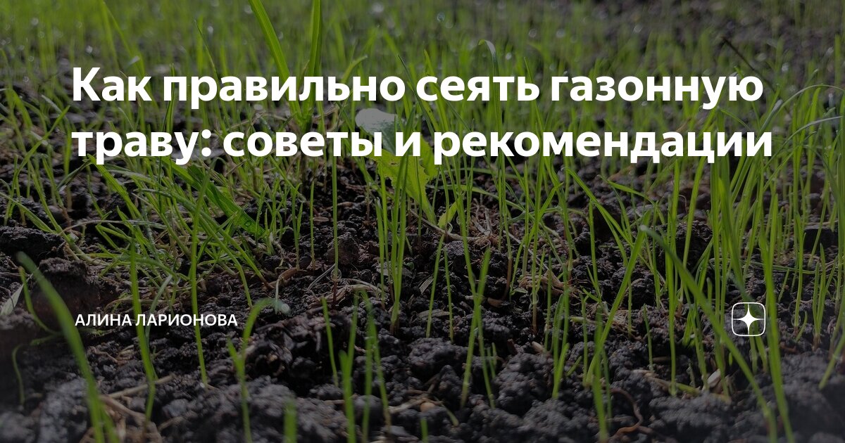 Просеянный как пишется правильно. Просеянный как пишется правильно
