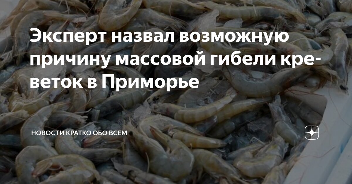 Почему высвечивается возможно массовый обзвон. Почему высвечивается возможно массовый обзвон