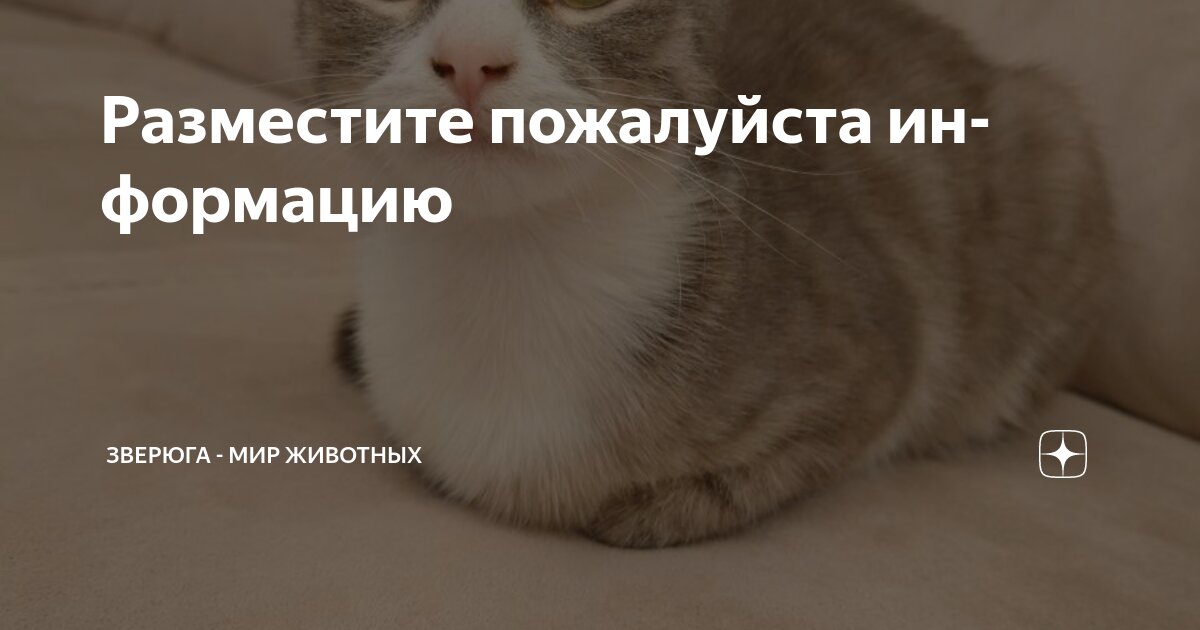 Как приучить ребенка к горшку. Приучивать. Приучивать ребенка к горшку фото прикол. Приучивать. Как приучить собаку есть сухой корм.