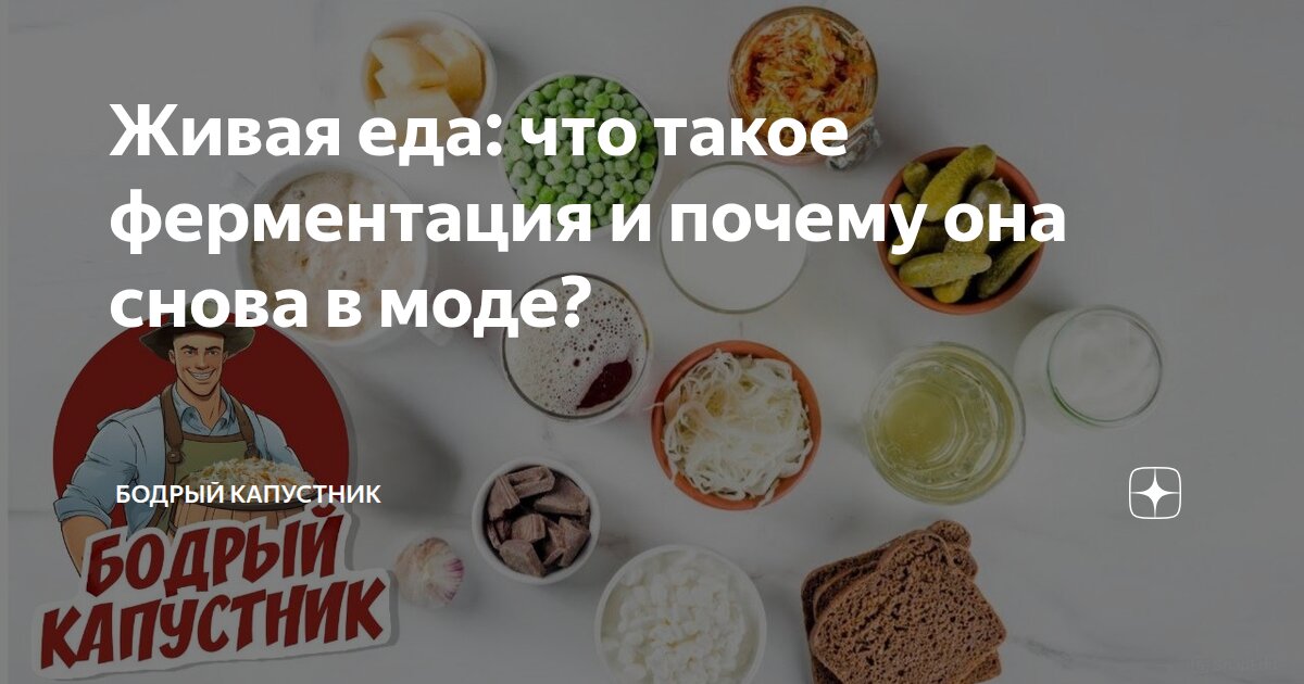 Живая еда: что такое ферментация и почему она снова в моде?