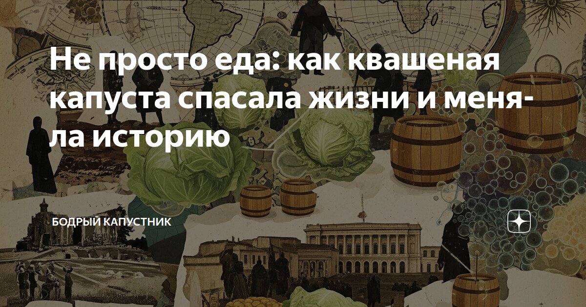 Не просто еда: как квашеная капуста спасала жизни и меняла историю