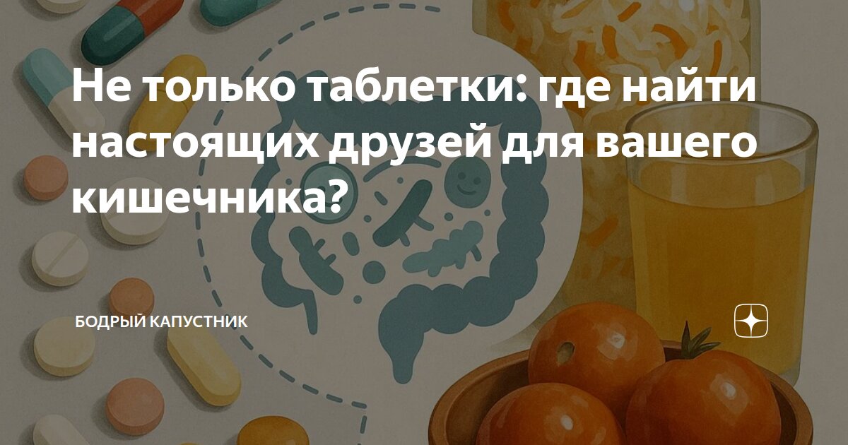 Не только таблетки: где найти настоящих друзей для вашего кишечника?