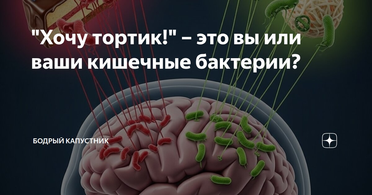 "Хочу тортик!" – это вы или ваши кишечные бактерии?