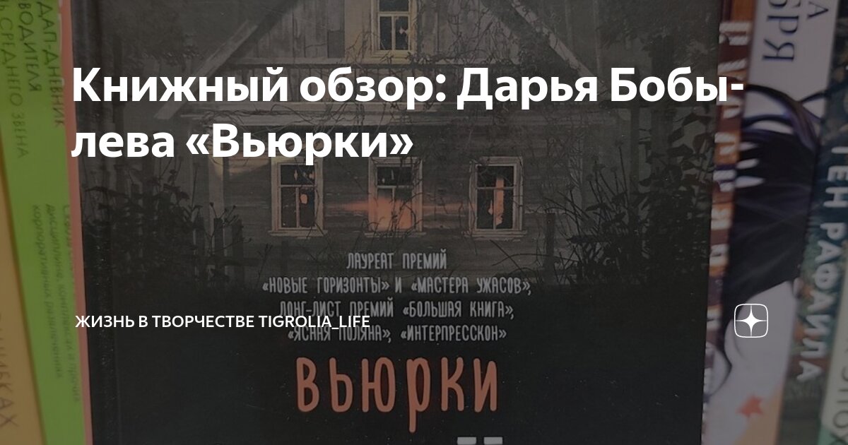 Книжный обзор: Дарья Бобылева «Вьюрки» | Жизнь в творчестве TigrOlia ...