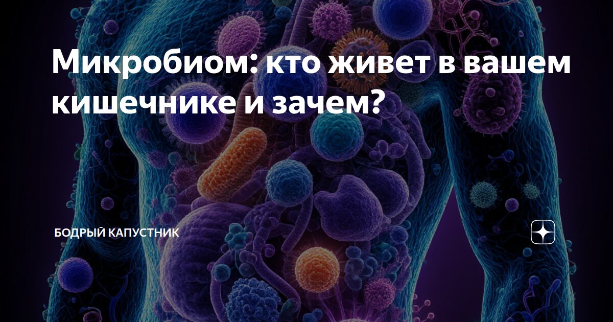 Микробиом: кто живет в вашем кишечнике и зачем?