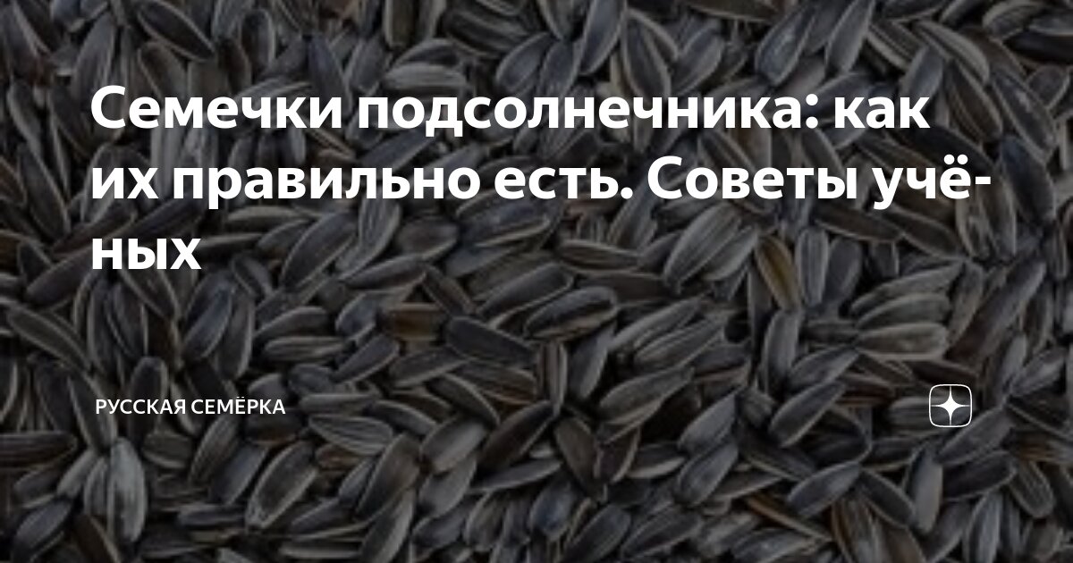 Семечки подсолнечника: как их правильно есть. Советы учёных | Русская ...