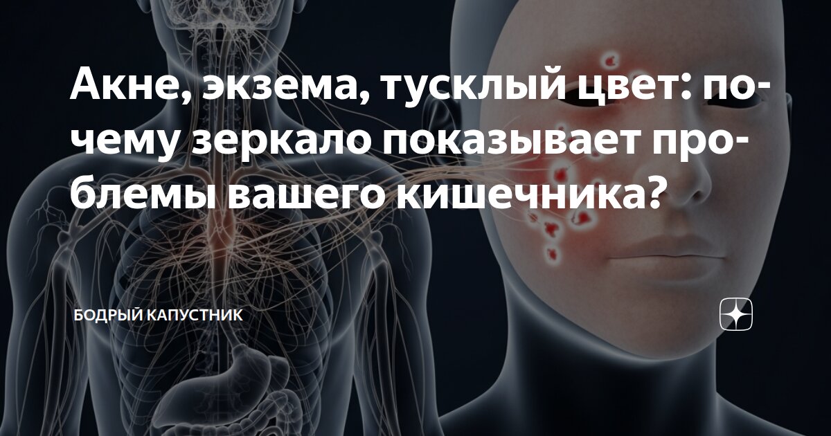 Акне, экзема, тусклый цвет: почему зеркало показывает проблемы вашего кишечника?