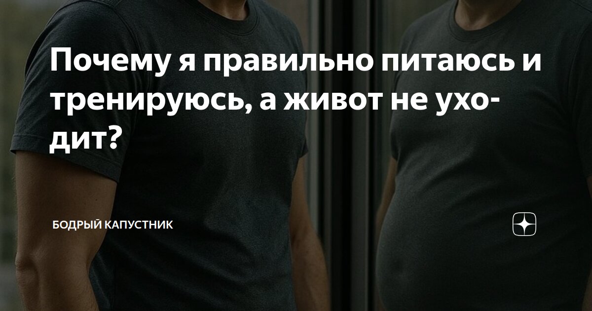 Почему я правильно питаюсь и тренируюсь, а живот не уходит?