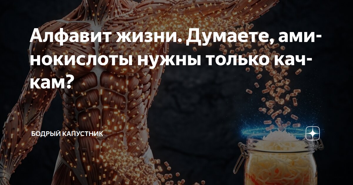 Алфавит жизни. Думаете, аминокислоты нужны только качкам?