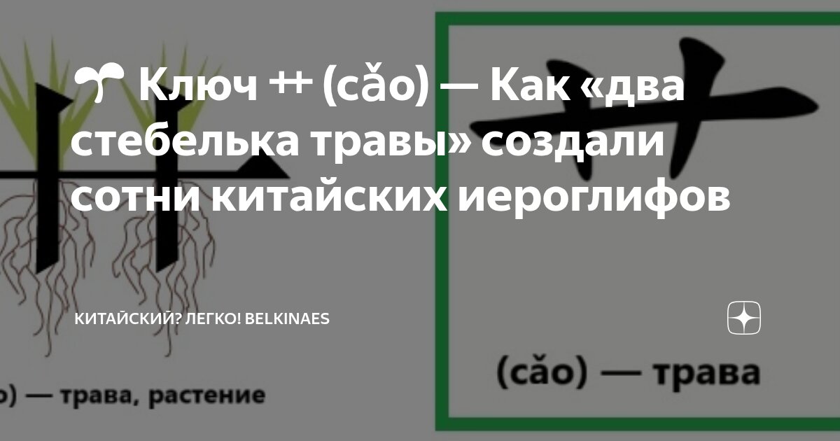 🌱 Ключ 艹 (cǎo) — Как «два стебелька травы» создали сотни китайских ...