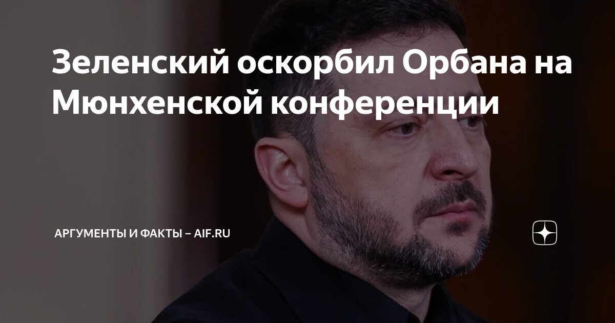 Зеленский оскорбил Орбана на Мюнхенской конференции | Аргументы и факты ...