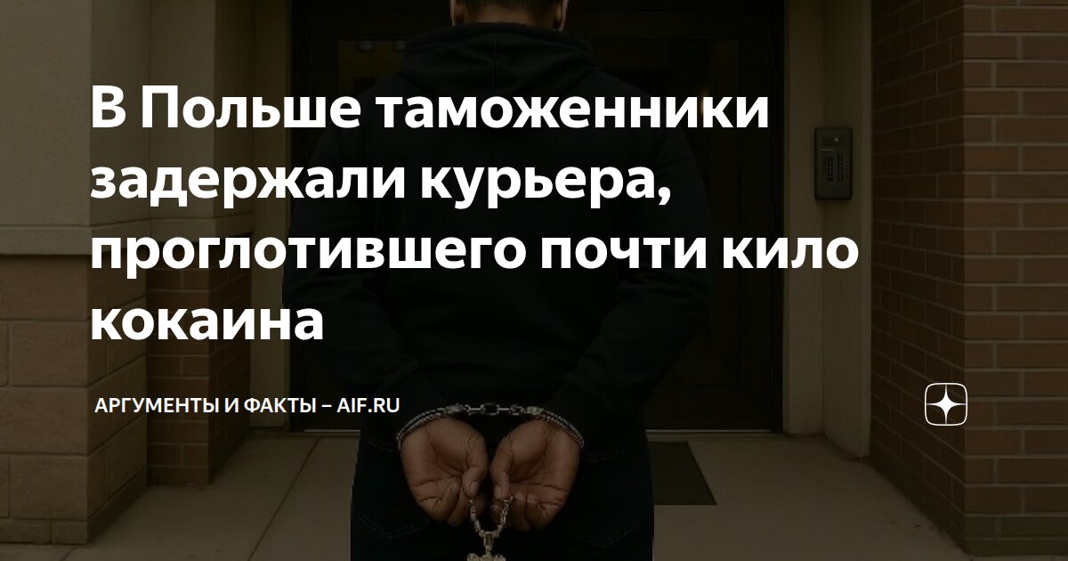 В Польше таможенники задержали курьера, проглотившего почти кило ...