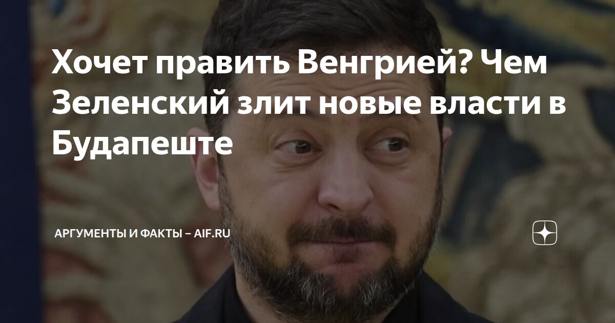 Хочет править Венгрией? Чем Зеленский злит новые власти в Будапеште ...