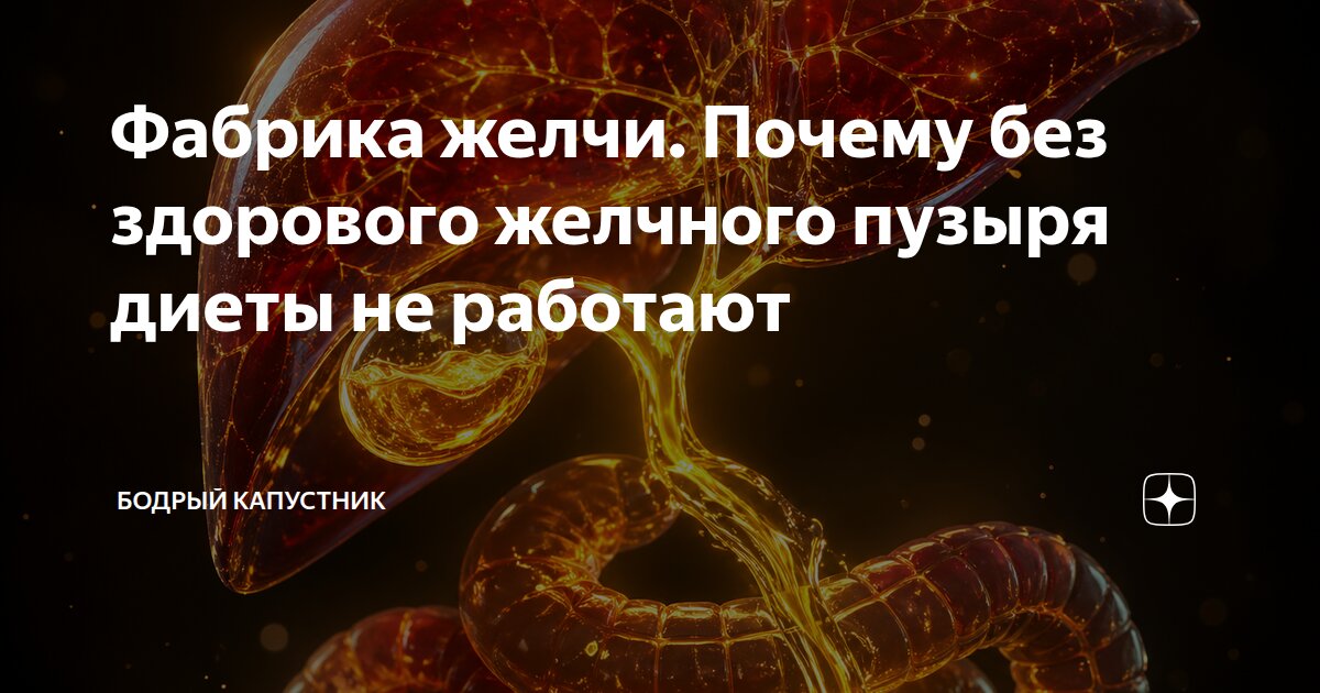 Фабрика желчи. Почему без здорового желчного пузыря диеты не работают