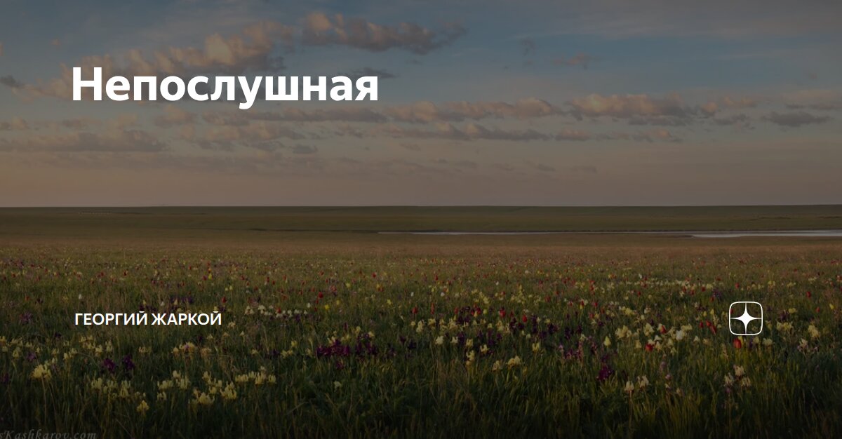 Непослушная | Георгий Жаркой | Дзен