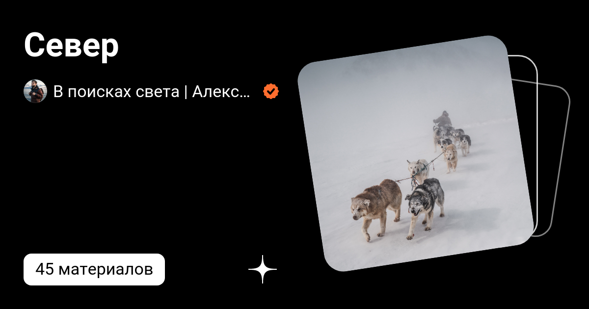 В поисках света