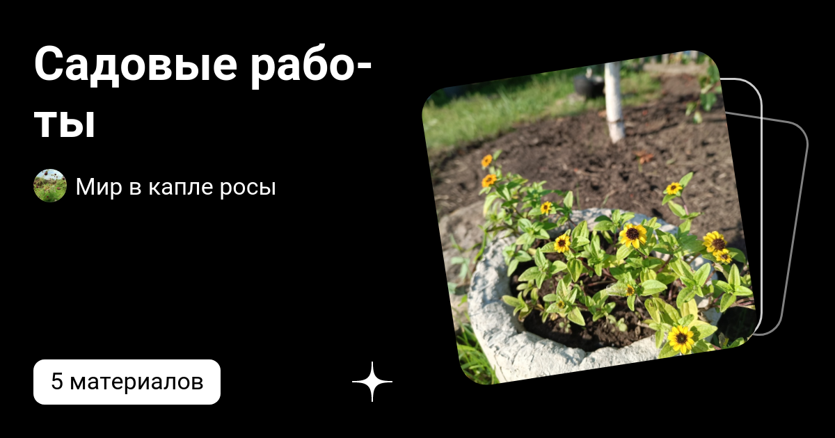 Сады урала осень 2024