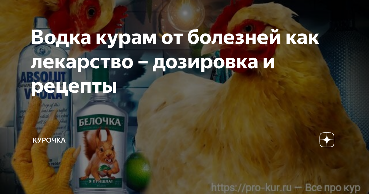 Чем пропоить бройлеров от глистов. Лекарство для кур. Лекарство для кур и цыплят. Антибиотик для кур несушек. Препарат от глистов для курей бройлеров.