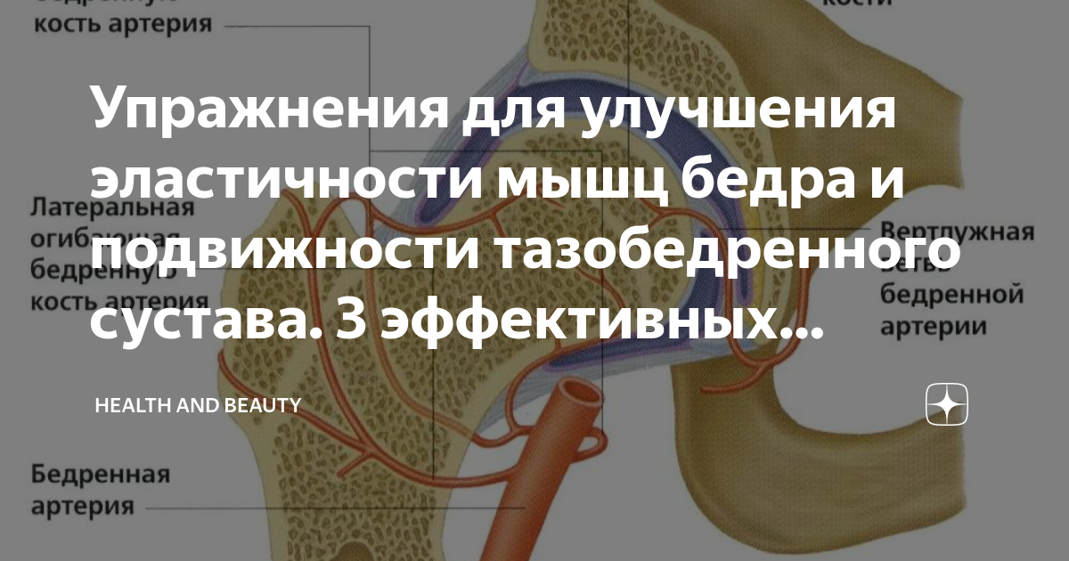 Препараты для эластичности сосудов. Таблетки для сосудов. Таблетки для сердца и сосудов. Для улучшения эластичности. Виды коэффициентов эластичности.