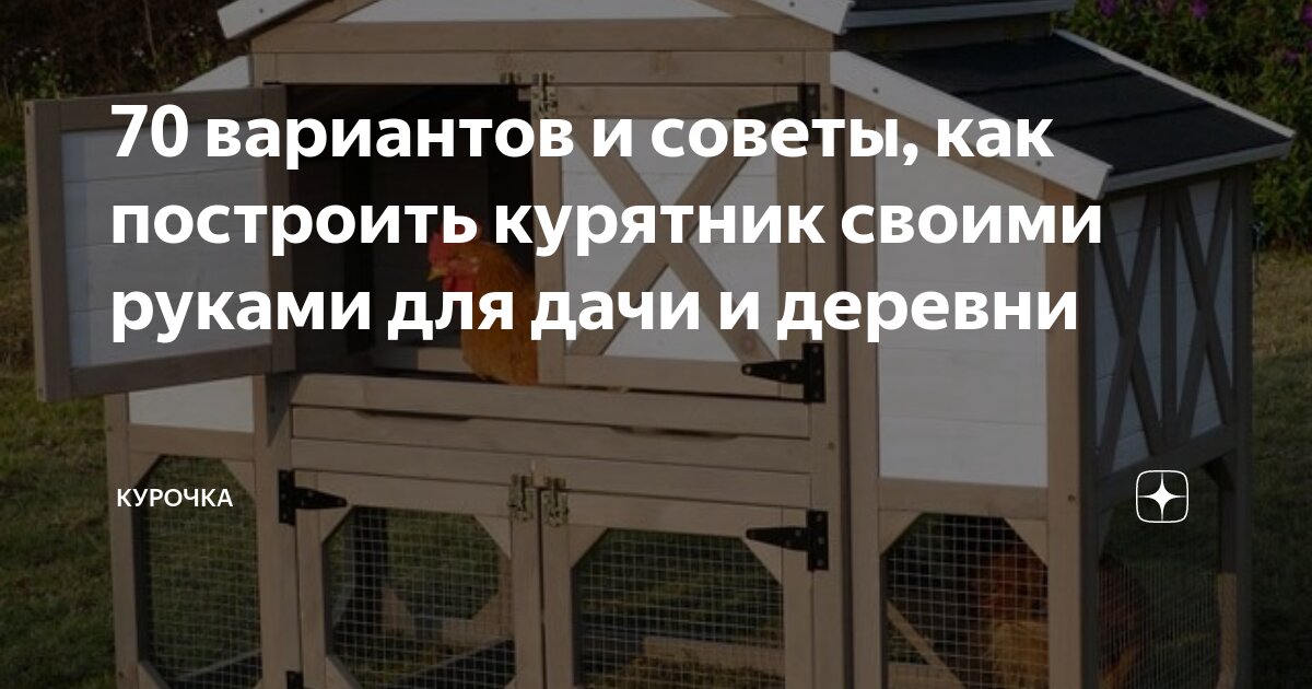 Курятники: чертежи, строительство и советы по обустройству