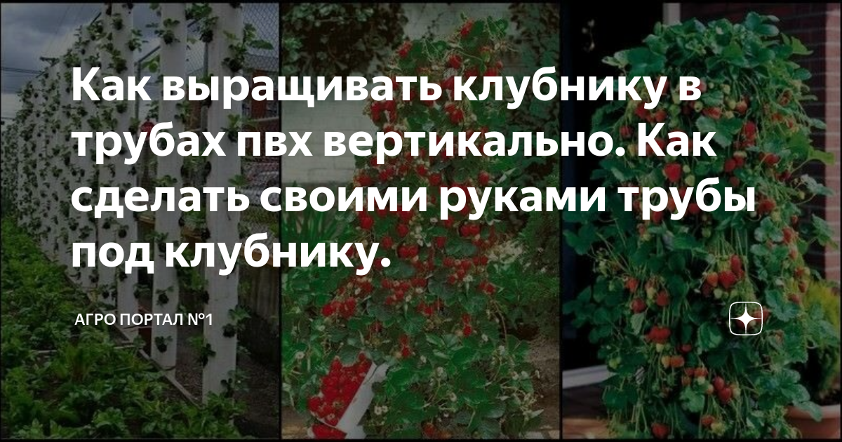 Выращивание в вертикальных грядках: разные способы и их преимущества