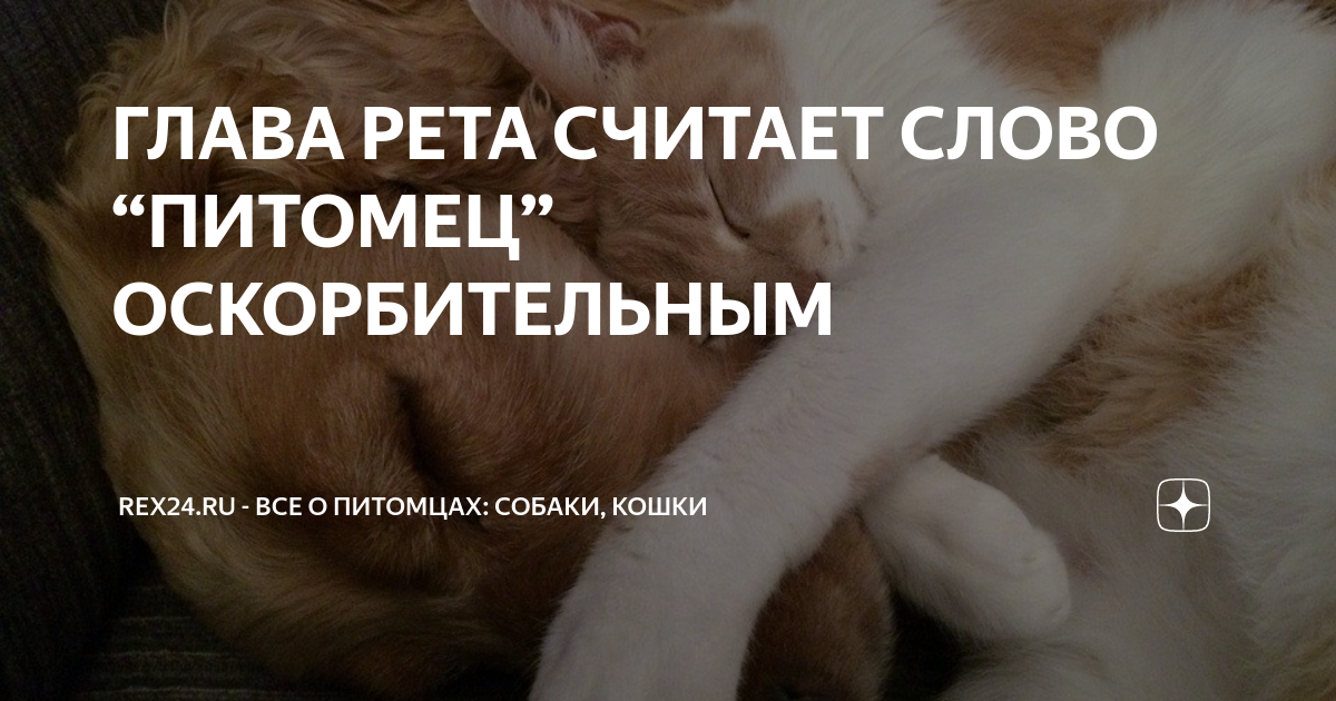 Как заменить слово питомец. Слово питомец. от какого слова произошло слово питомец.