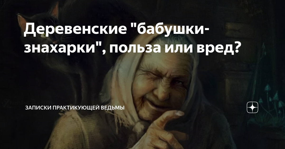 Лес в тумане вектор. Ведьмины заметки дзен. Ксенон и галоген. Дзен из темной глубины веков. Знахарка на руси.