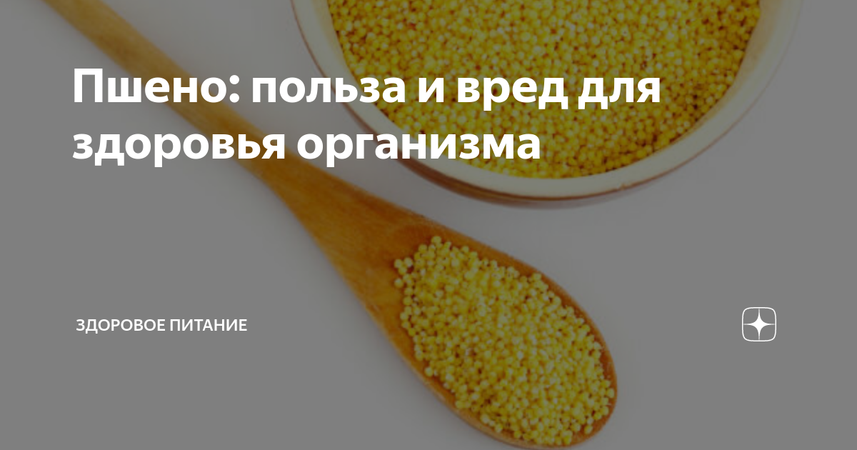 Пшено: польза и вред для здоровья организма