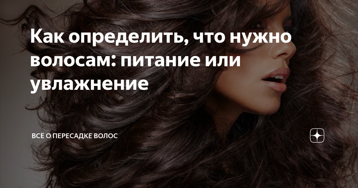 Как определить, что нужно волосам: питание или увлажнение | Всё о пересадке  волос | Дзен