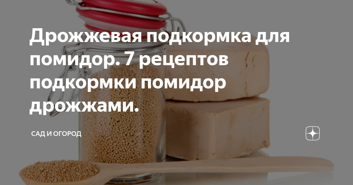 Подкормка из дрожжей. Удобрение из дрожжей для огурцов. Удобрение помидор дрожжами. Состав из дрожжей для помидор. Как подкормить рассаду помидор дрожжами