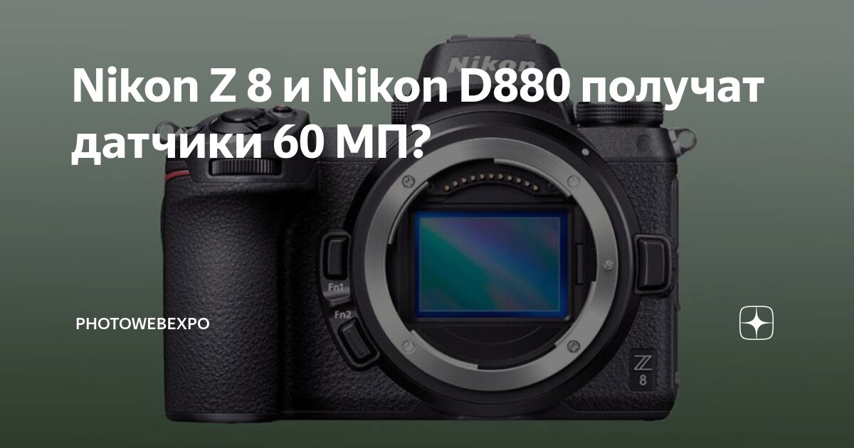 Nikon Z 8 и Nikon D880 получат датчики 60 МП? | PhotoWebExpo | Дзен