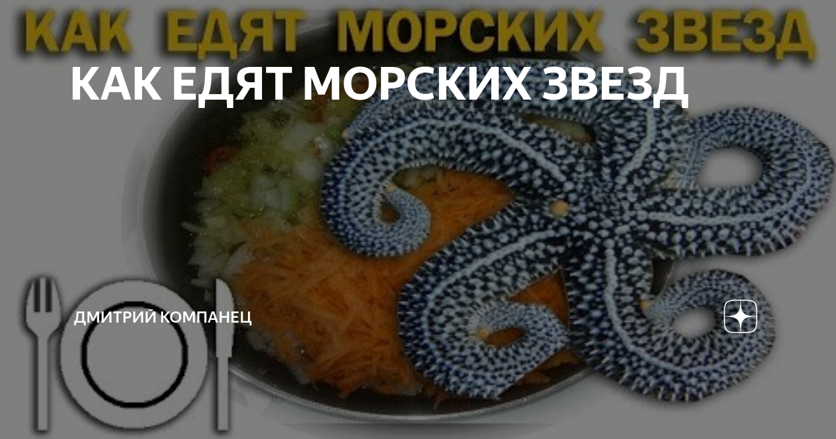 КАК ЕДЯТ МОРСКИХ ЗВЕЗД