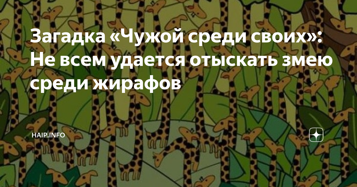 Найти змею среди черепах на картинке ответ на загадку